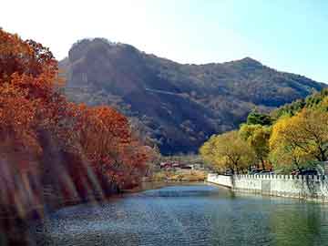 澳门天天好好免费资料，站群模板